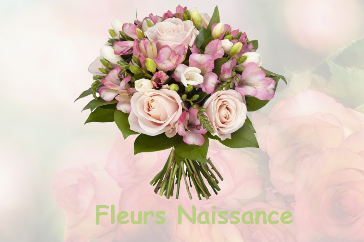 fleurs naissance FONTENAY-LE-FLEURY